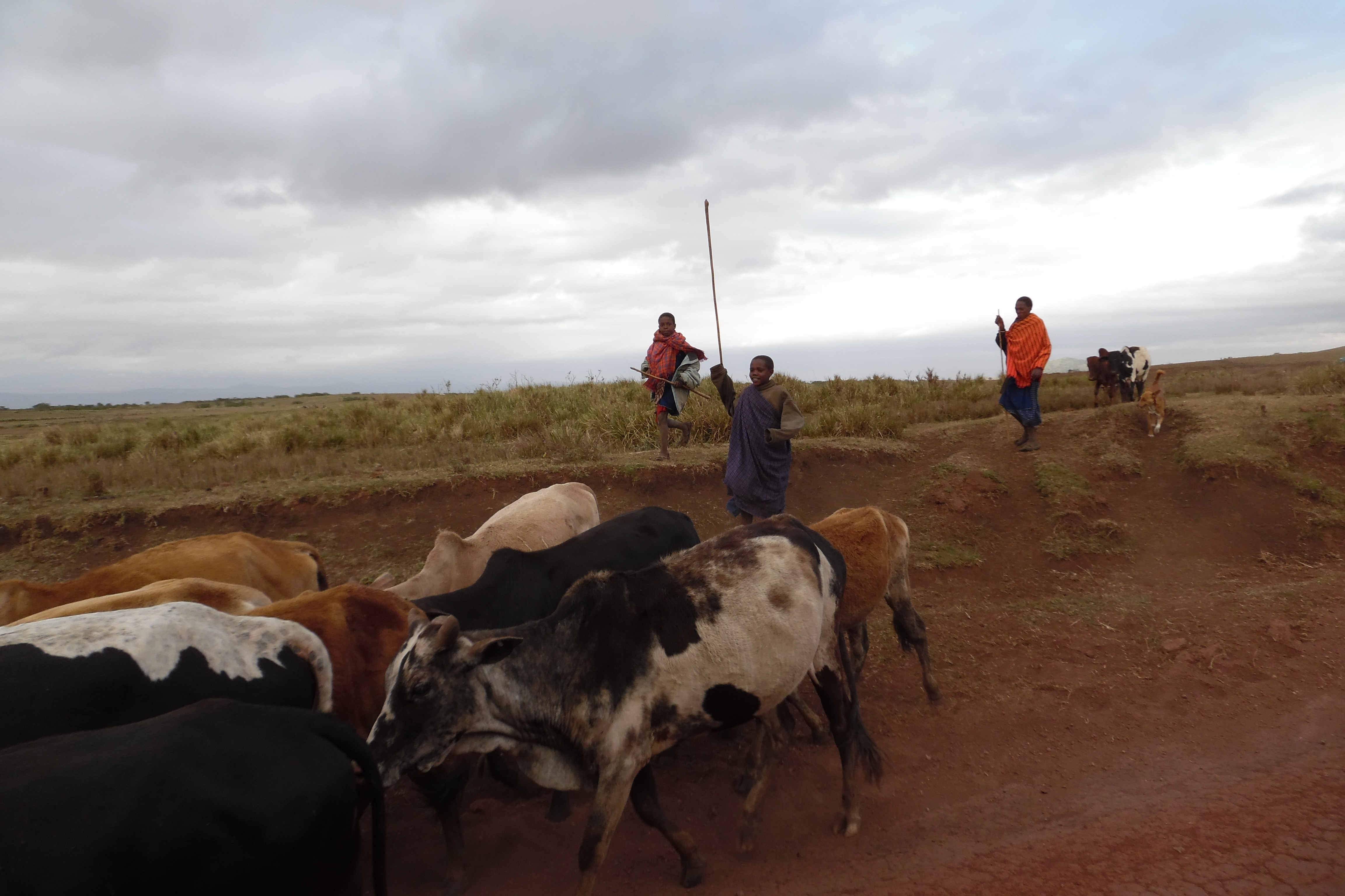 Maasai